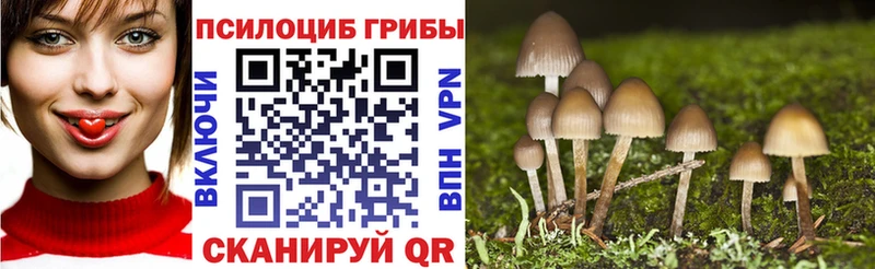 купить закладку  Вилючинск  Галлюциногенные грибы Psilocybine cubensis 